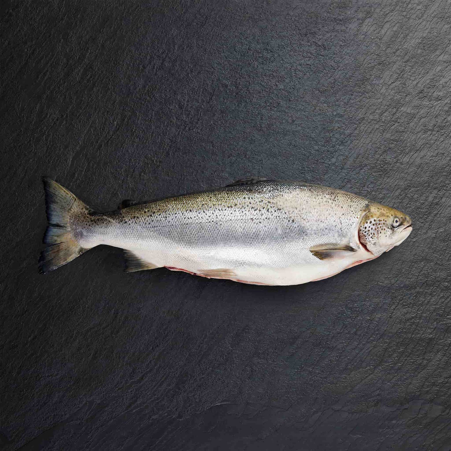 Chilled Fish Whole - Pearl Seafoods