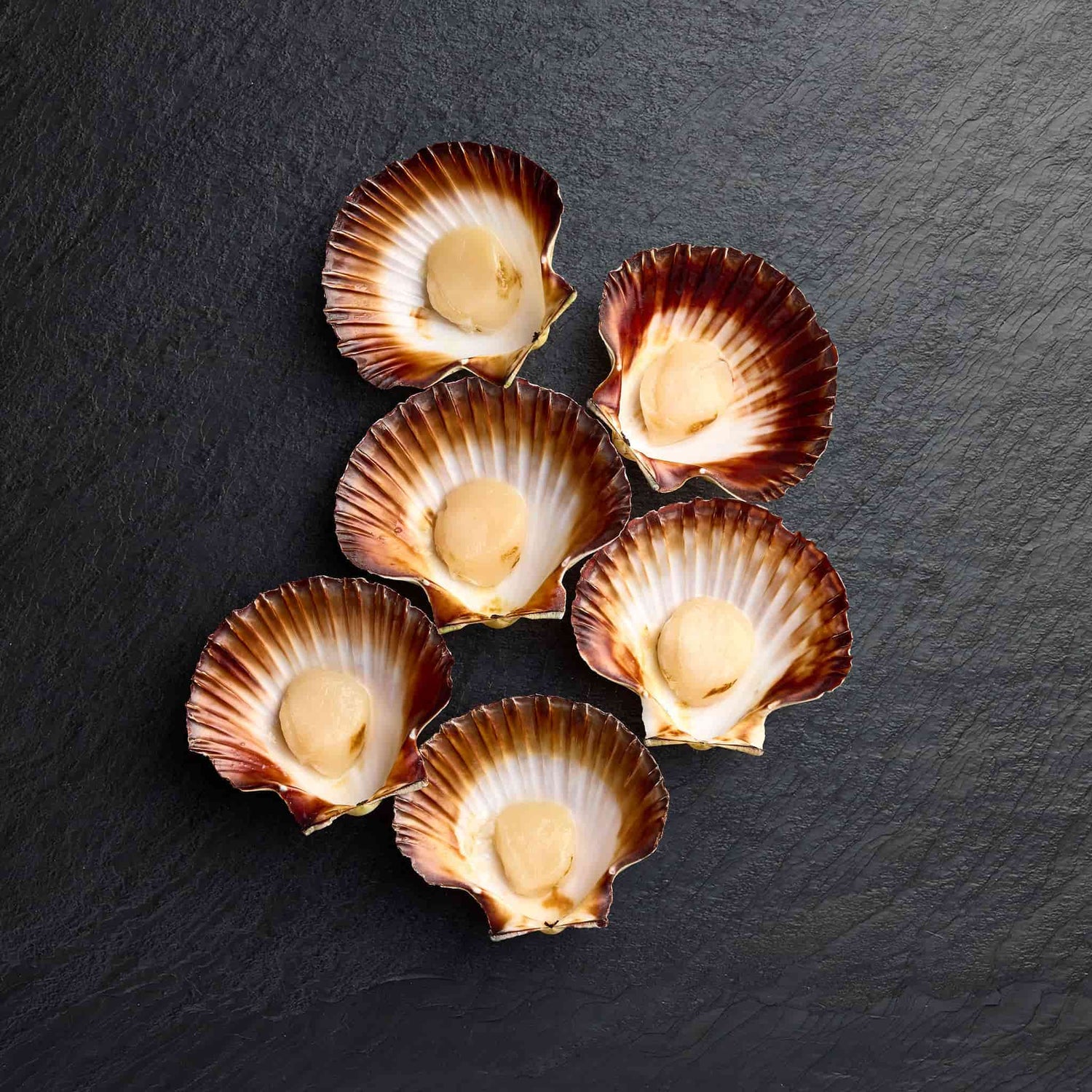 Chilled Scallops - Pearl Seafoods