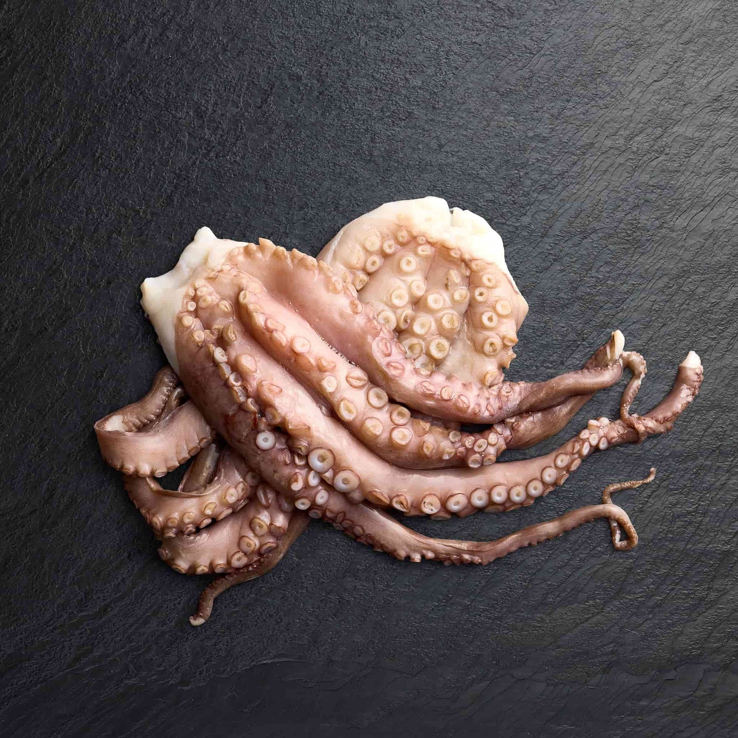 Frozen Octopus - Pearl Seafoods