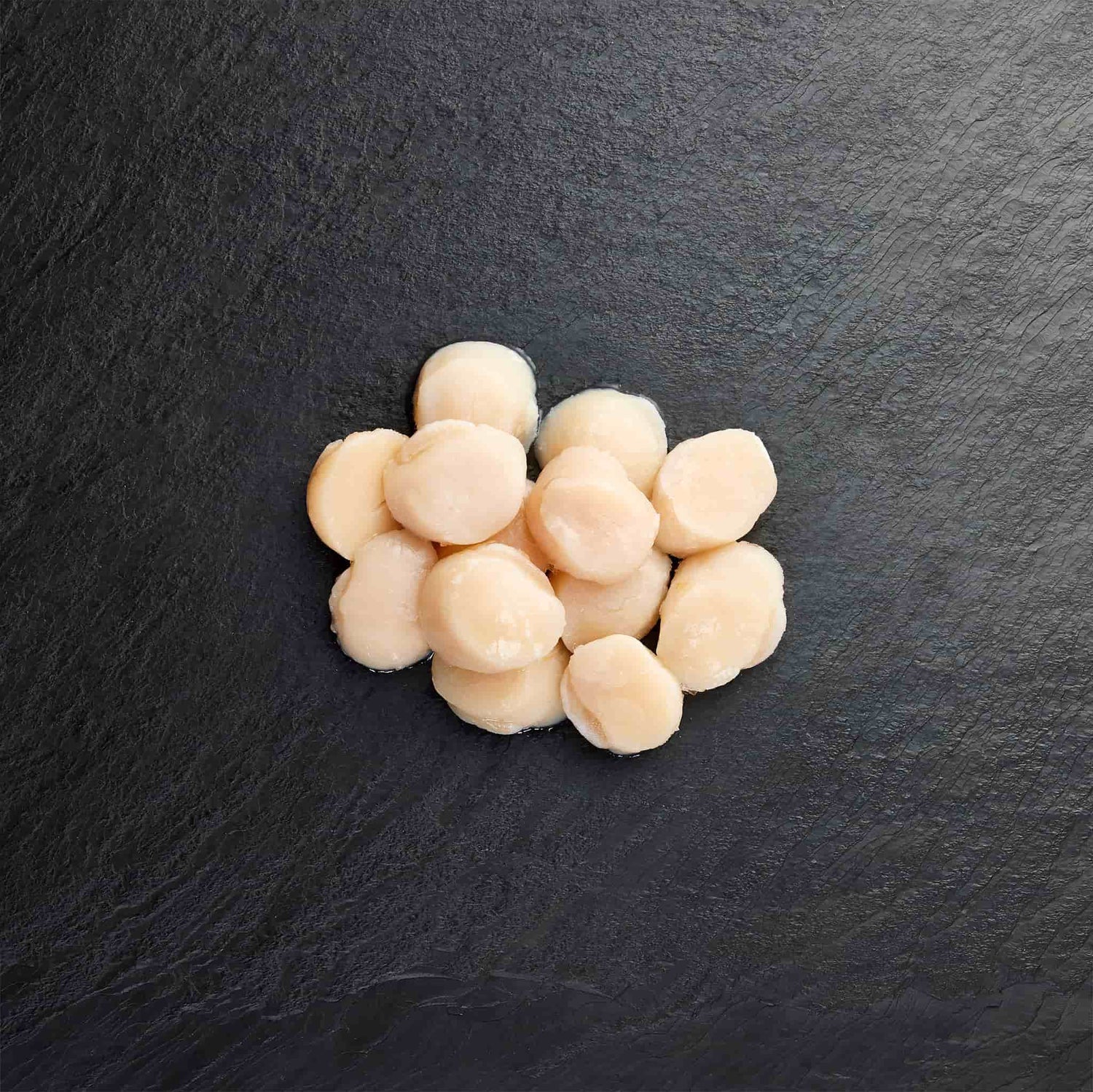 Frozen Scallops - Pearl Seafoods