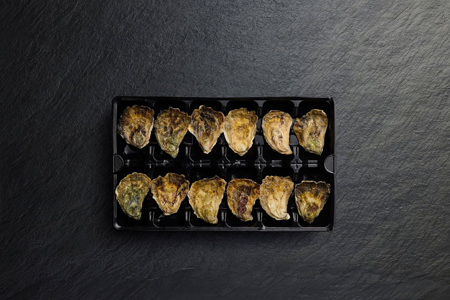 Live Oysters - Pearl Seafoods