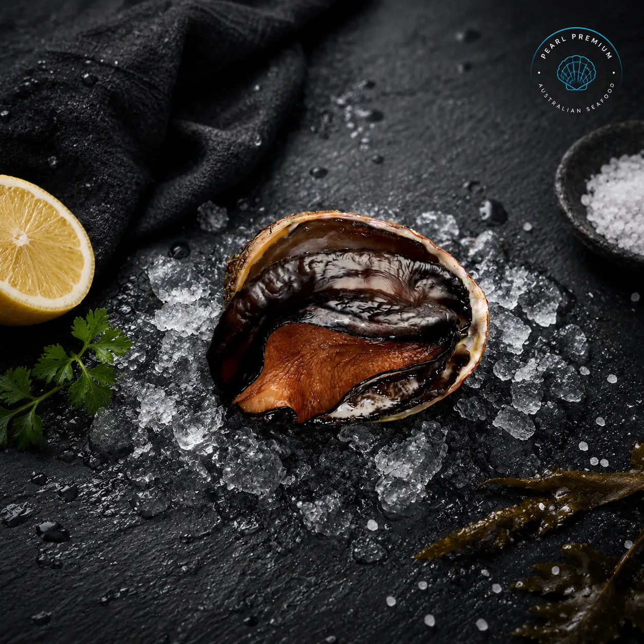 Frozen Blacklip Abalone In Shell - Pearl Seafoods
