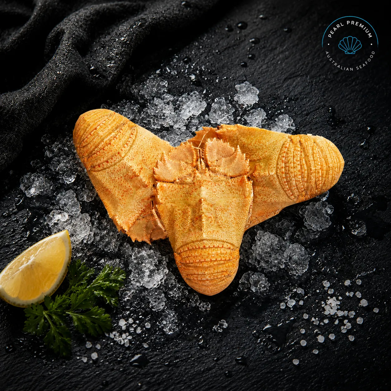 Fresh Cooked Moreton Bay Bugs - Pearl Seafoods