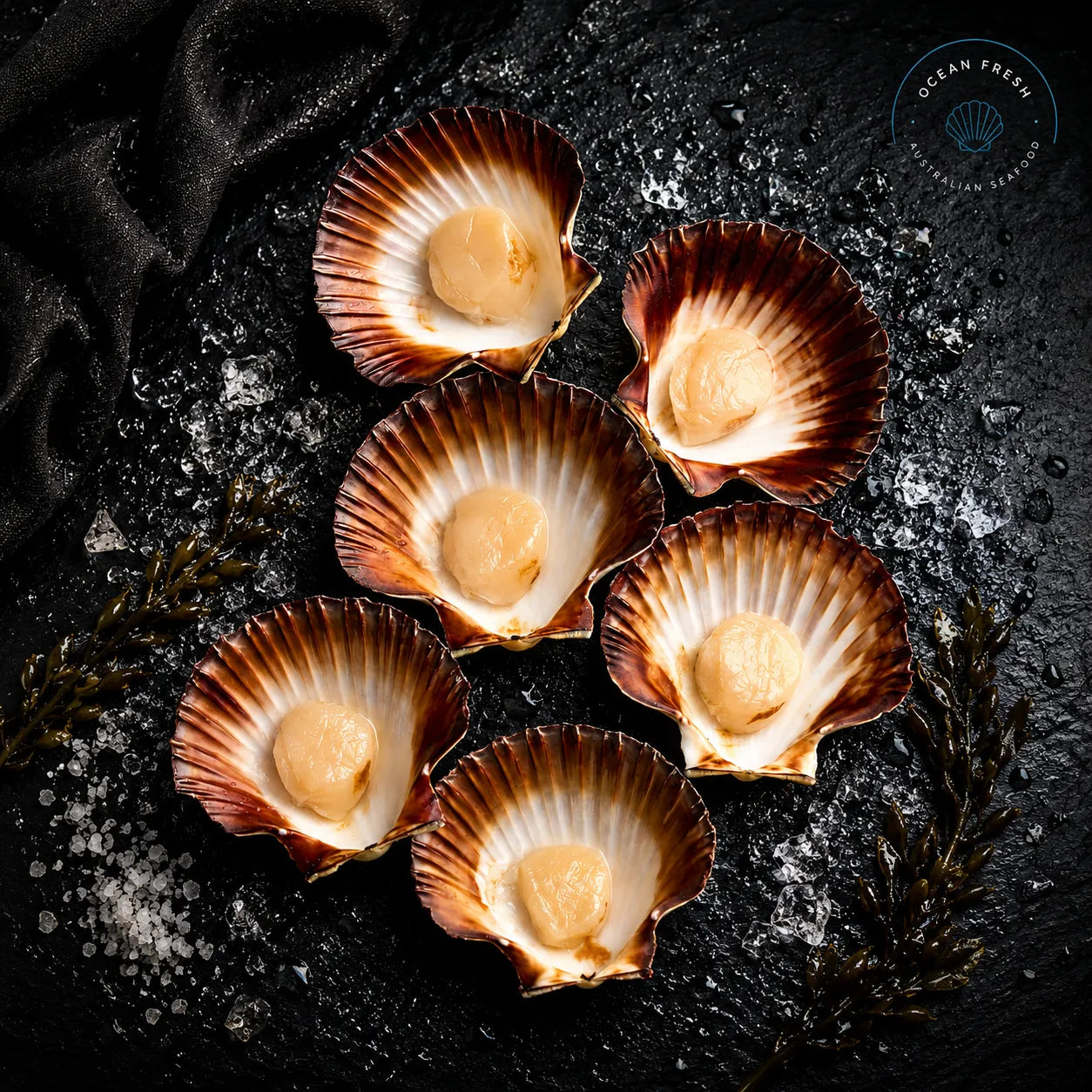 Fresh Half Shell Scallops - Pearl Seafoods