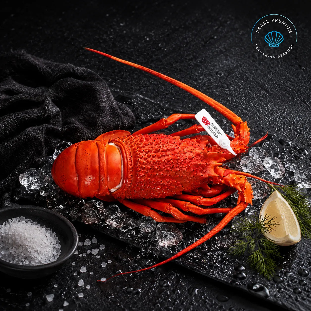 Fresh Cooked Eastern Rock Lobster - Pearl Seafoods