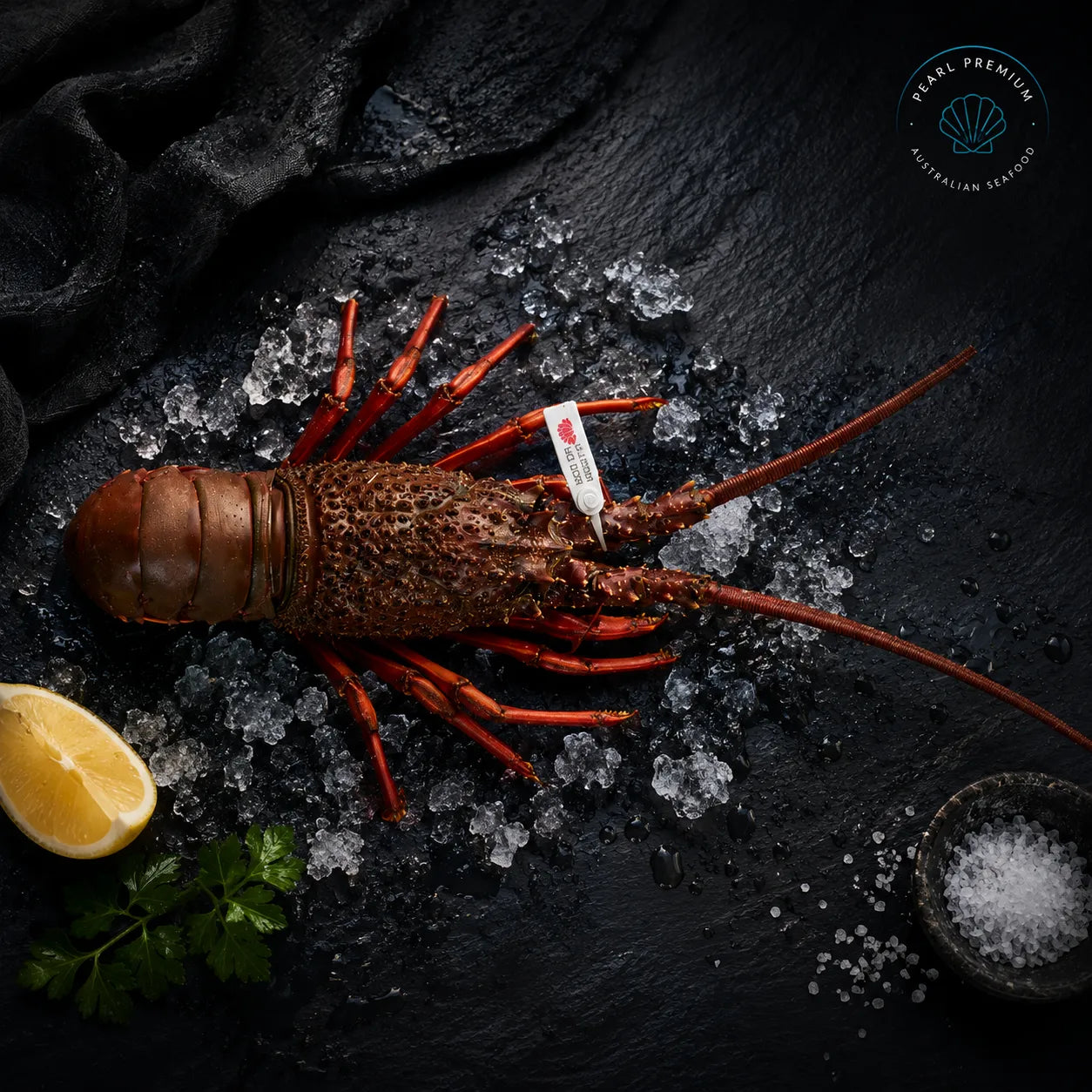 Live Eastern Rock Lobster - Pearl Seafoods