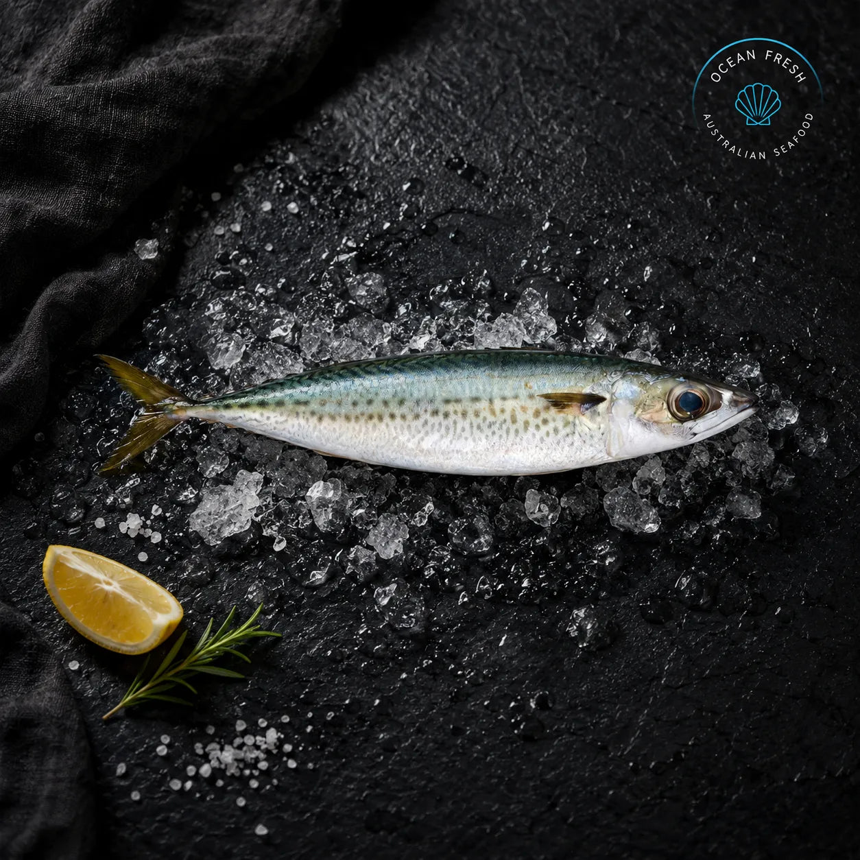 Fresh Whole Blue Mackerel - Pearl Seafoods