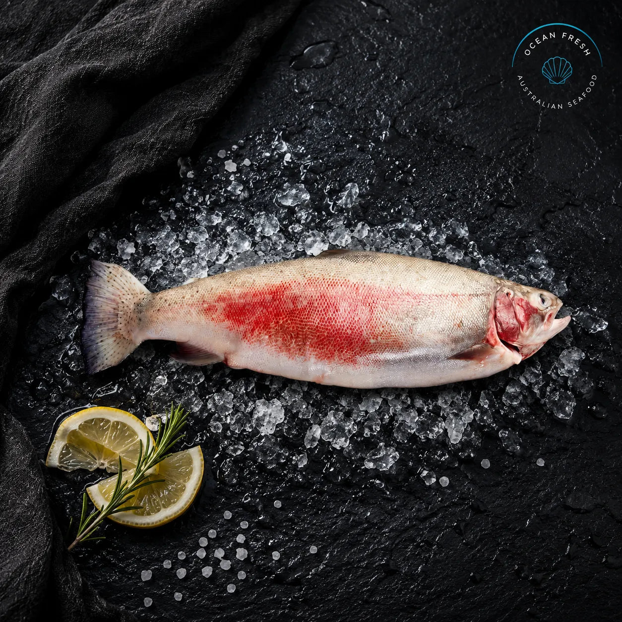 Fresh Whole Ocean Trout - Pearl Seafoods