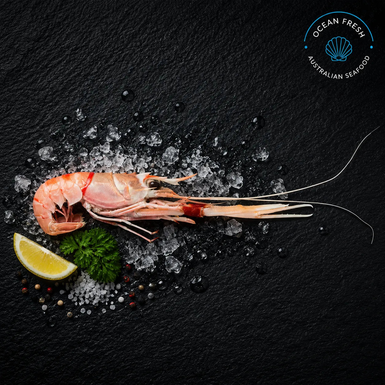 Frozen Scampi - Pearl Seafoods
