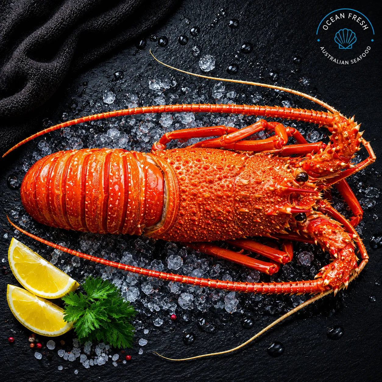 Frozen Western Rock Lobster Cooked - Pearl Seafoods