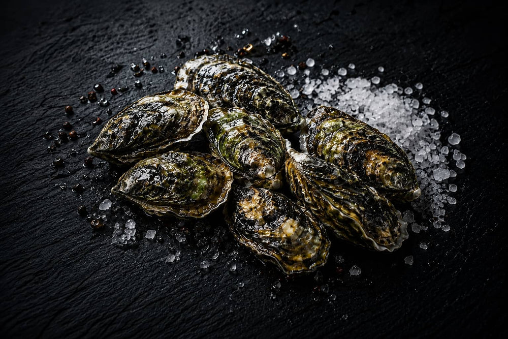 Raw oysters on a bed of salt with black background