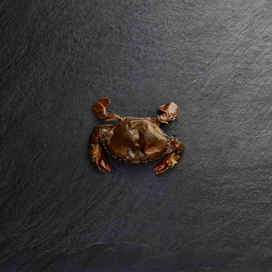 Frozen Softshell Crab - Pearl Seafoods