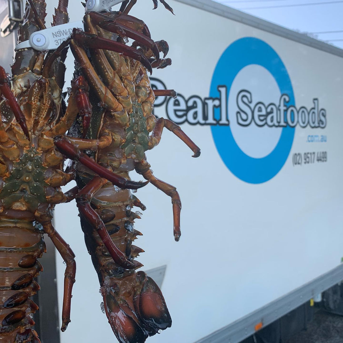 Why Fresh Seafood Matters: The Pearl Seafoods Difference!