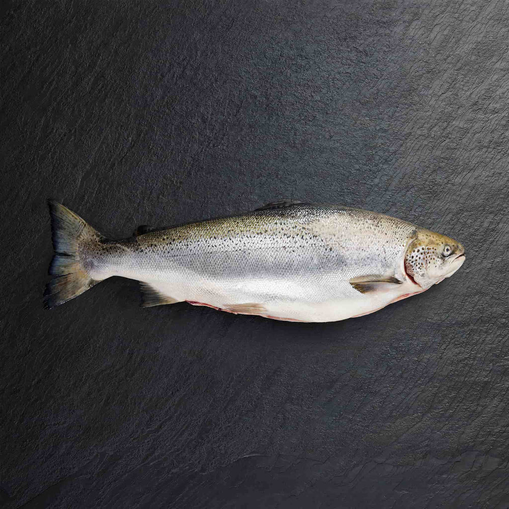 Chilled Fish Whole - Pearl Seafoods