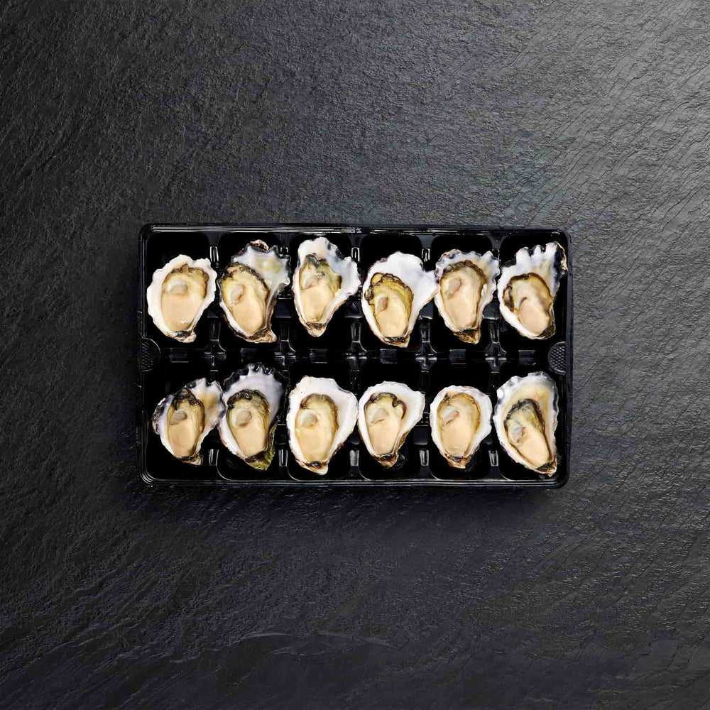 Chilled Half Shell Oysters - Pearl Seafoods
