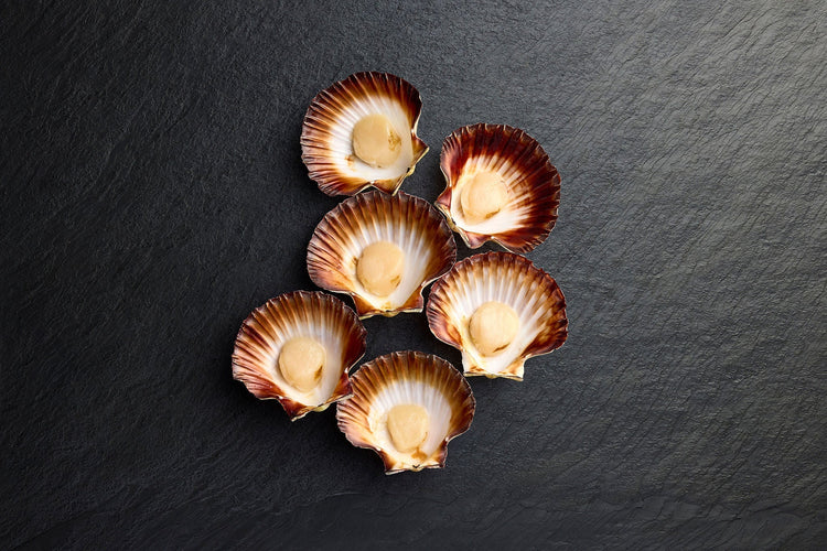 Chilled Scallops