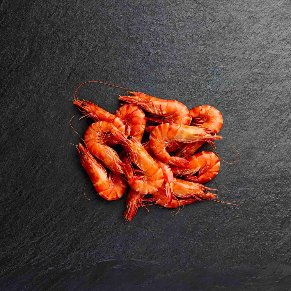 Frozen Prawns - Pearl Seafoods