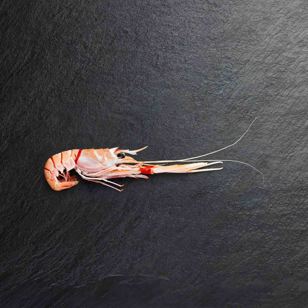 Frozen Scampi - Pearl Seafoods