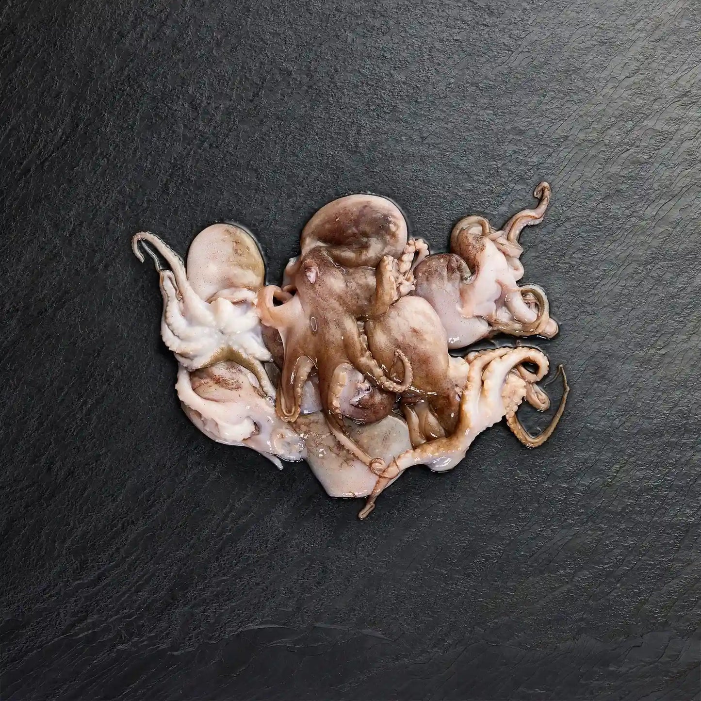 Frozen Baby Octopus