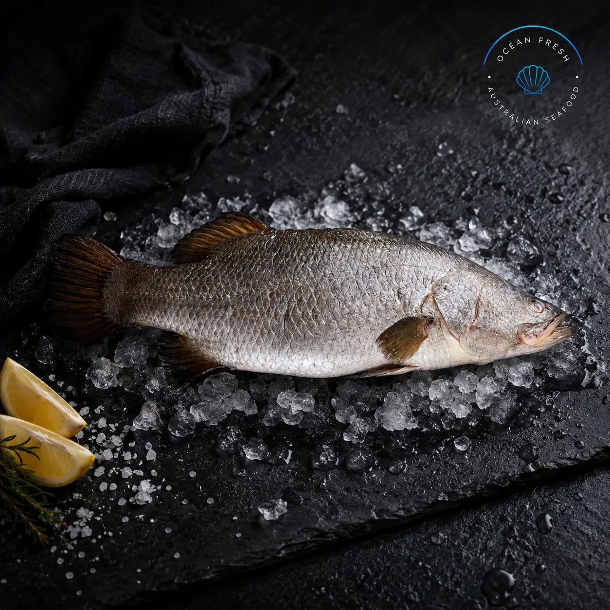 Fresh whole barramundi displayed whole on crushed ice with lemon