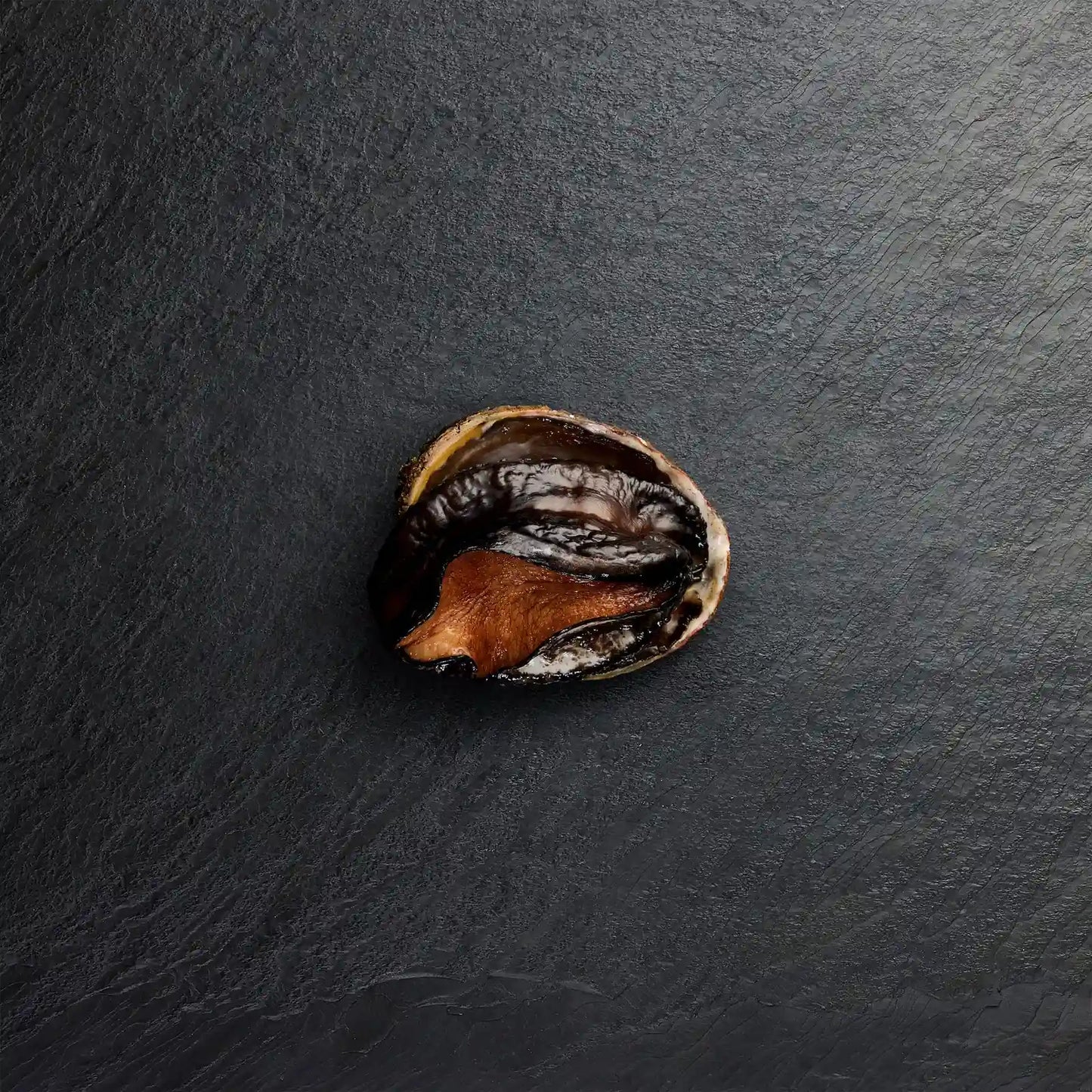 Frozen Blacklip Abalone In Shell - Pearl Seafoods