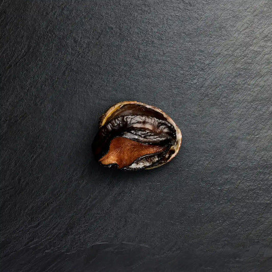 Frozen Blacklip Abalone In Shell