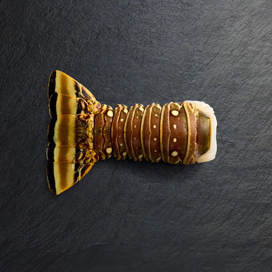 Frozen Brazilian Lobster Tails