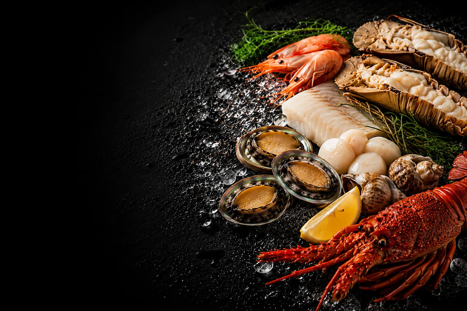 Assorted seafood including oysters, shrimp, and lobster on a dark surface.