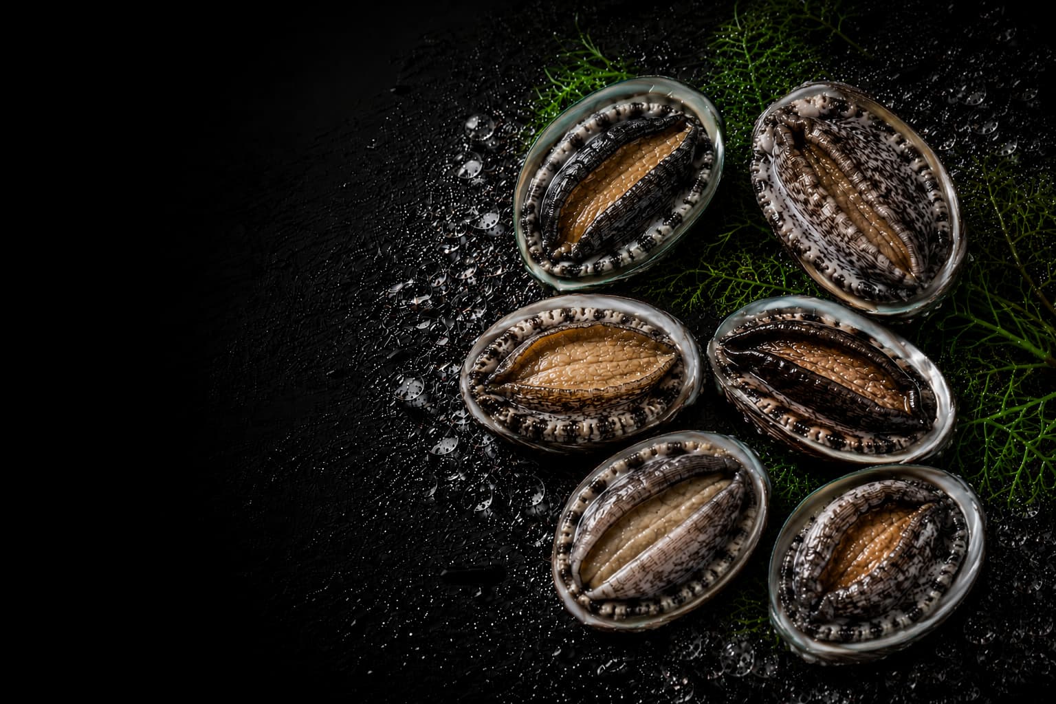 Abalone shells with abalone meat on a dark surface
