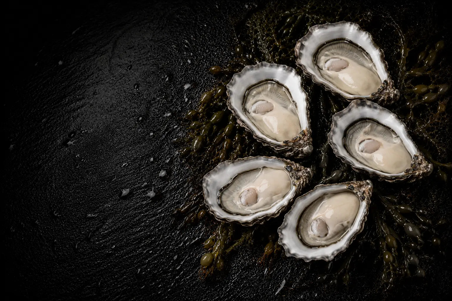 Five oysters on a black surface