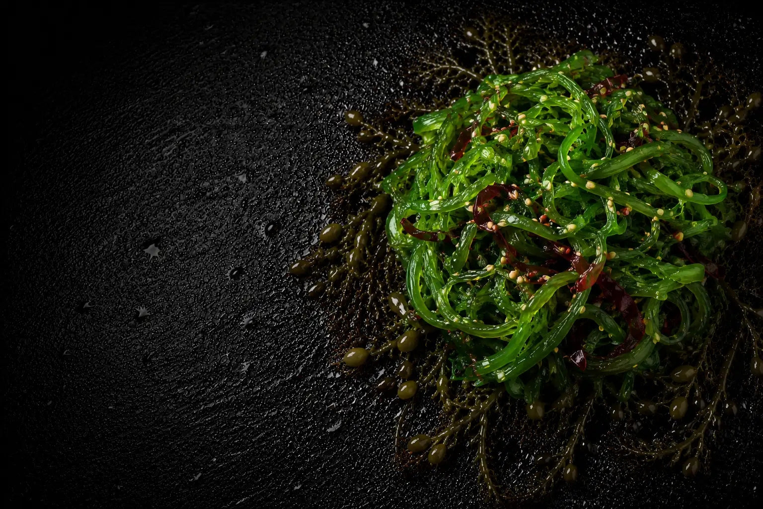 Green seaweed salad on a dark textured surface