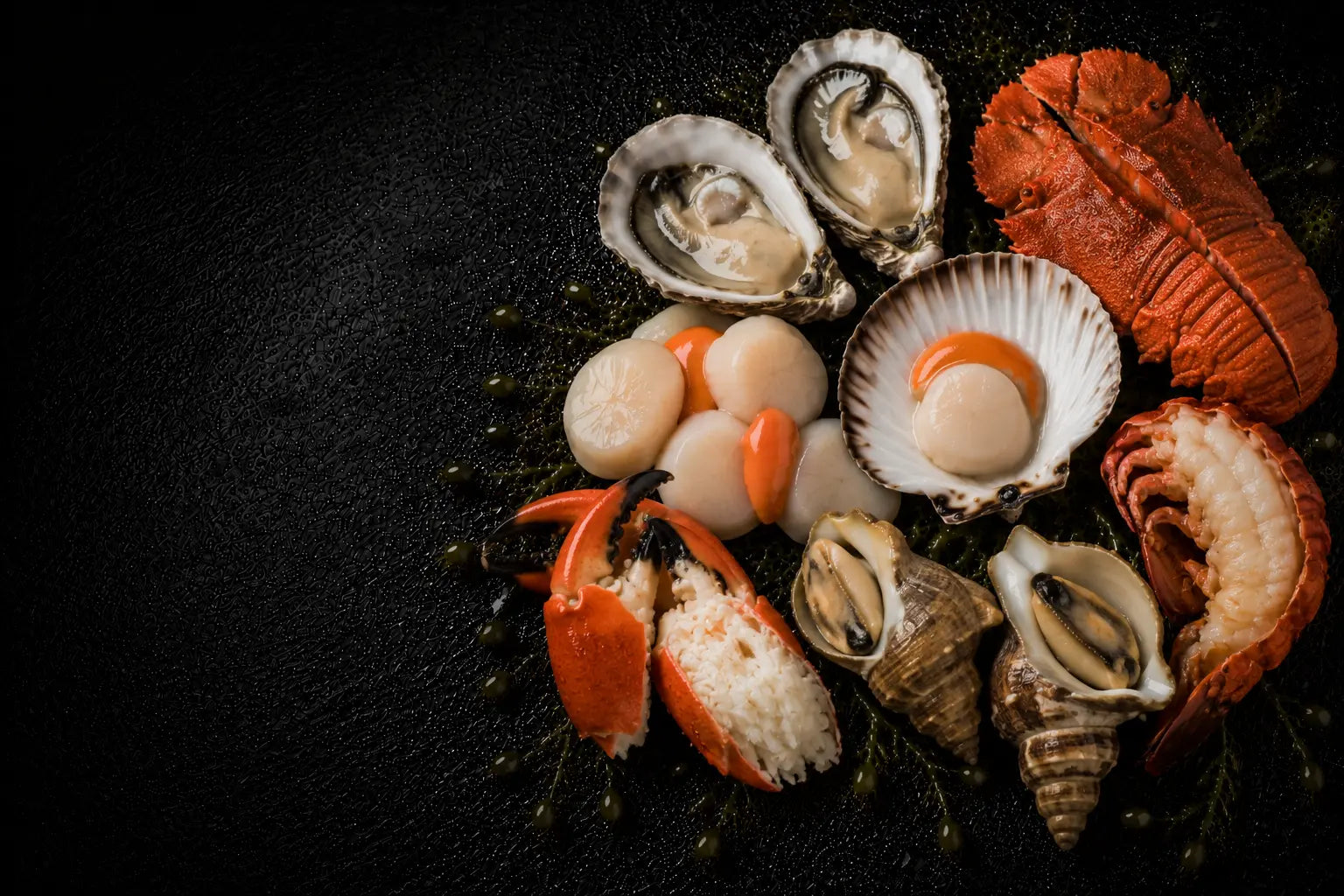 Assorted sea food including oysters, scallops, and lobster on a dark surface