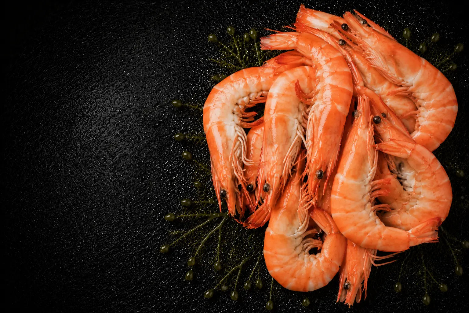 Shrimp on a black surface with a dark background