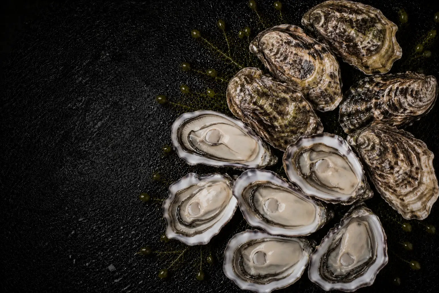 Oysters on a dark surface with a starry night background