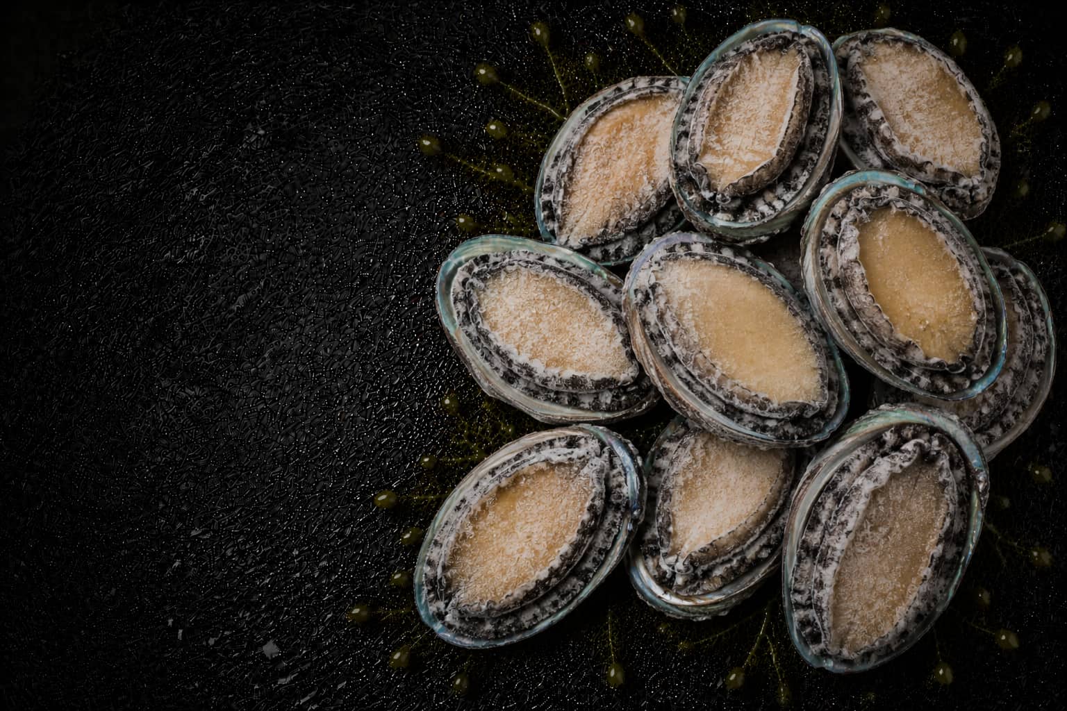 Stack of raw abalone shells on a dark surface