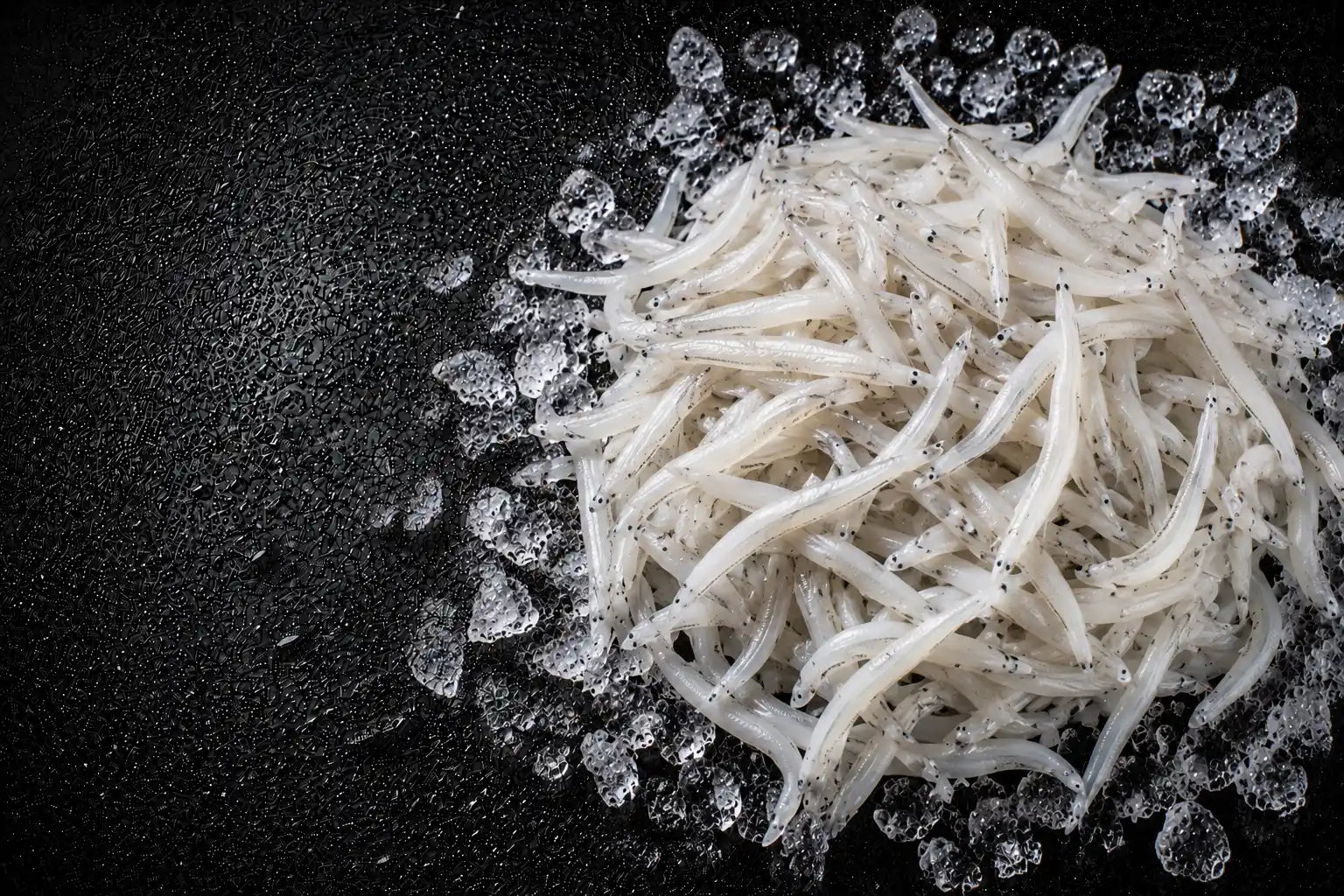 Raw fish strips on a black surface with ice cubes