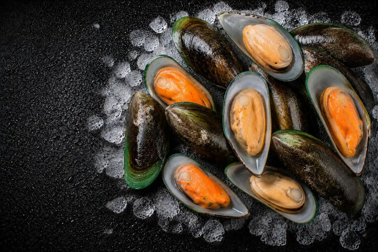 Mussels on ice with a dark background