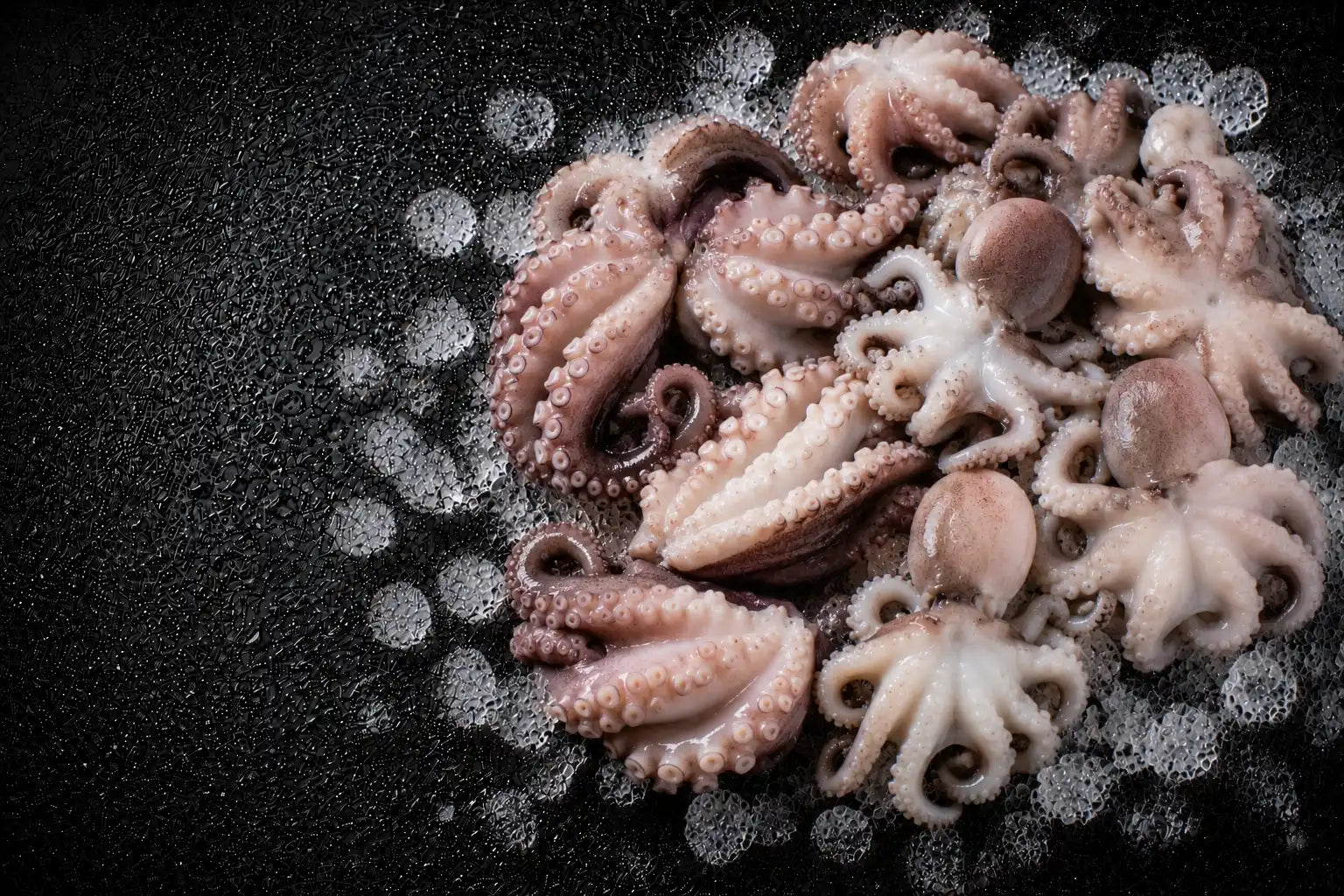 Pulled octopus on a dark surface with a blurred background