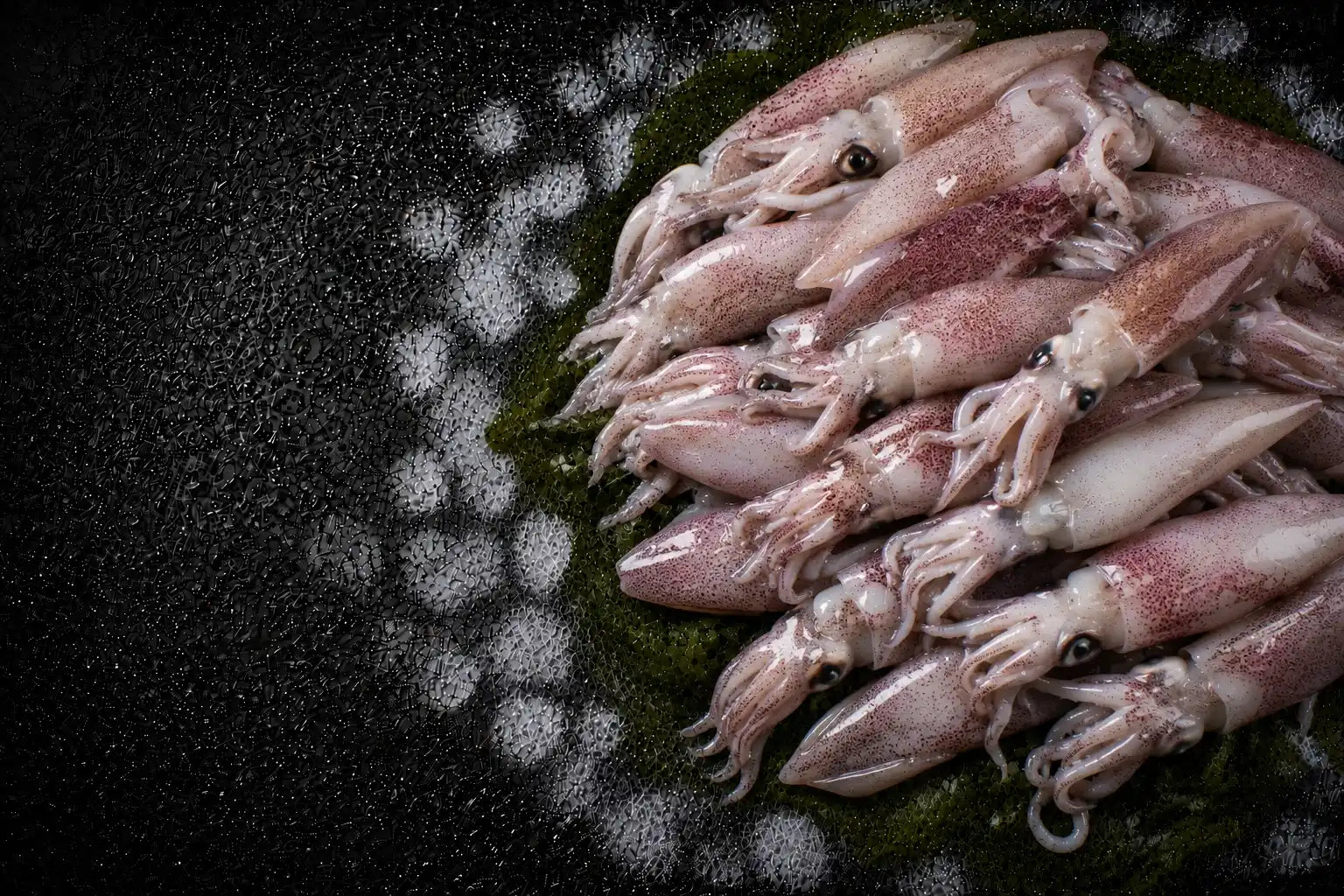 Raw squid on a dark surface with a circular light pattern