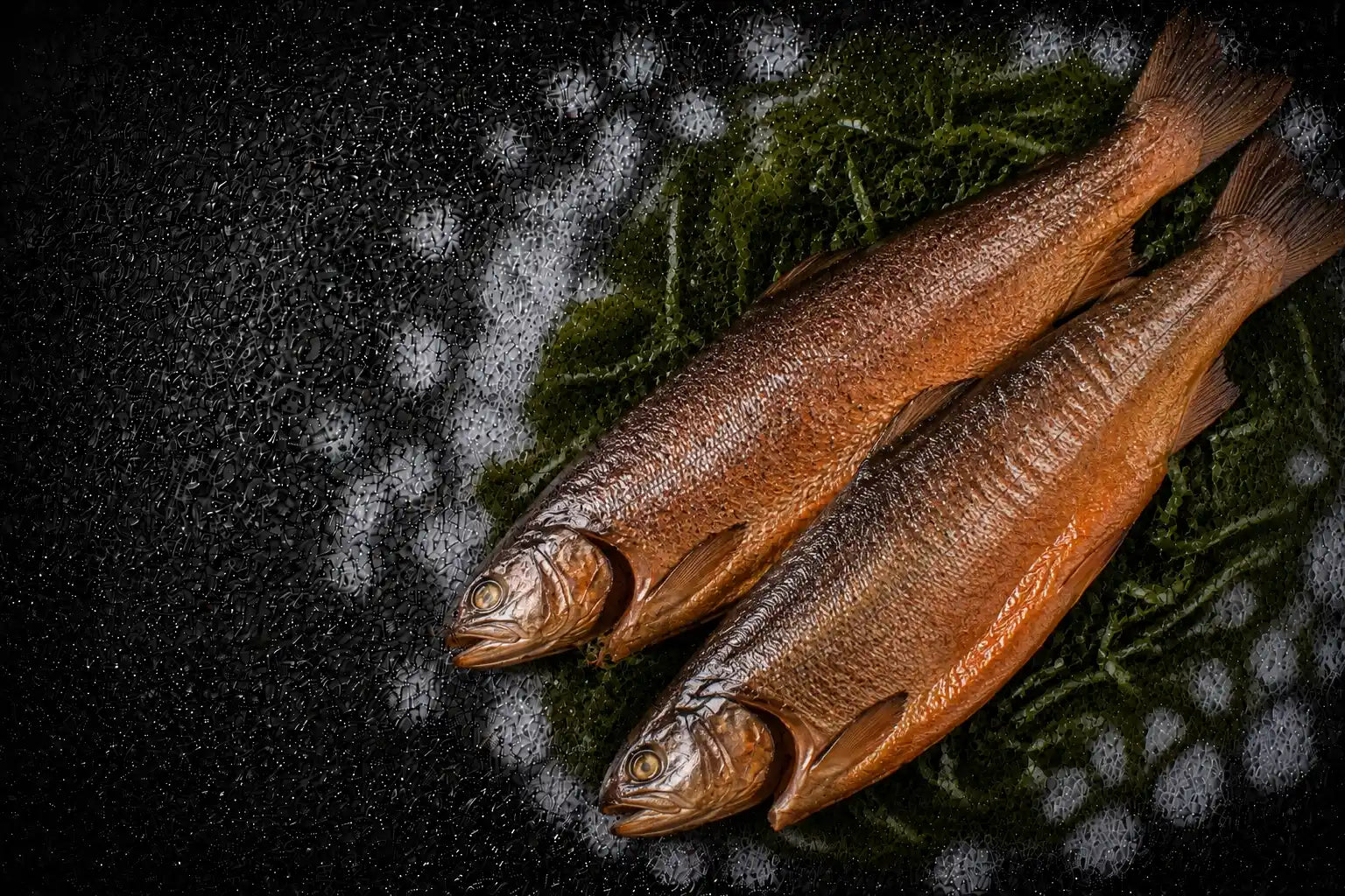 Two dried fish on a dark surface with a textured background