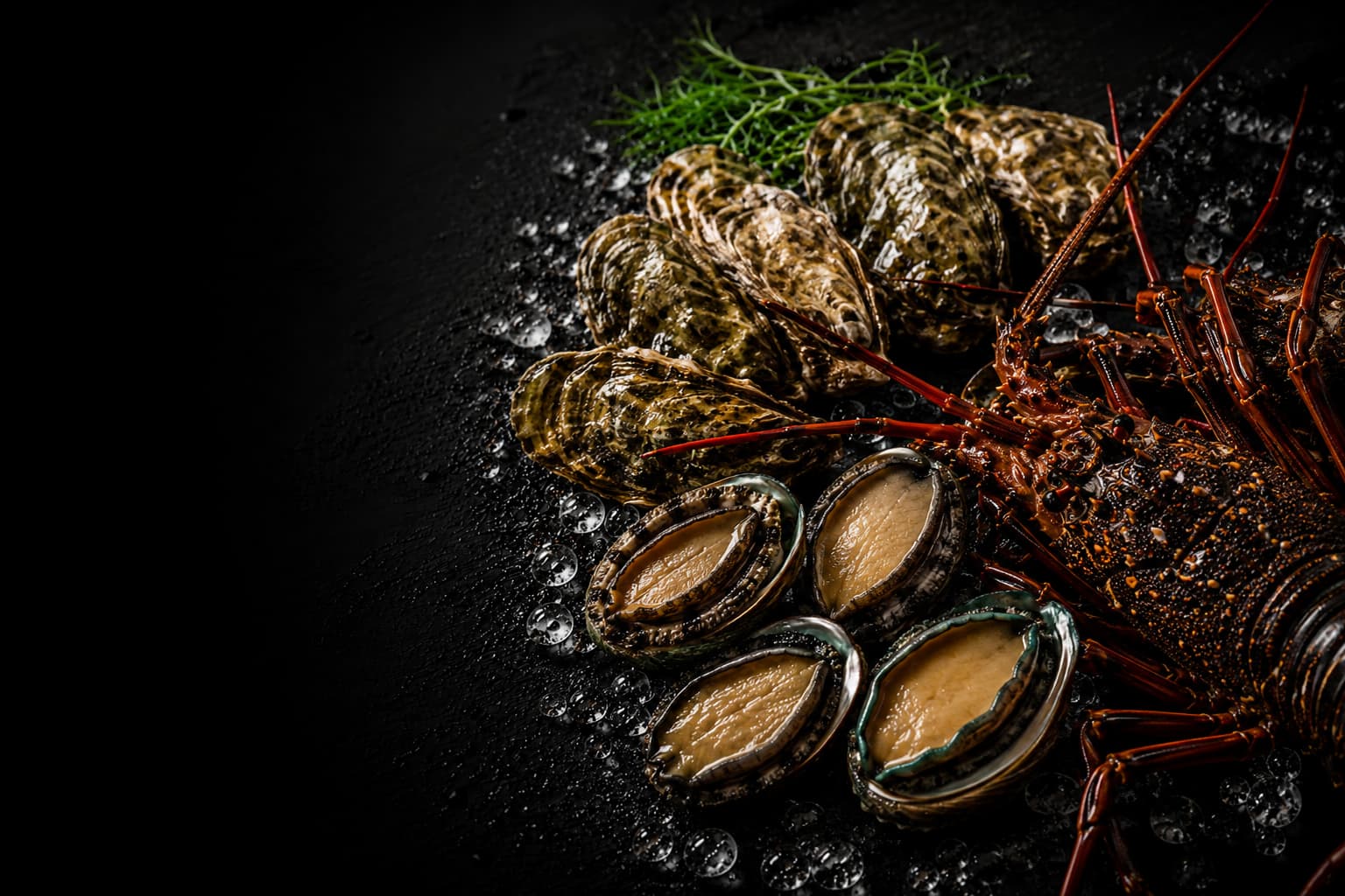 Oysters and abalone on a dark surface with herbs