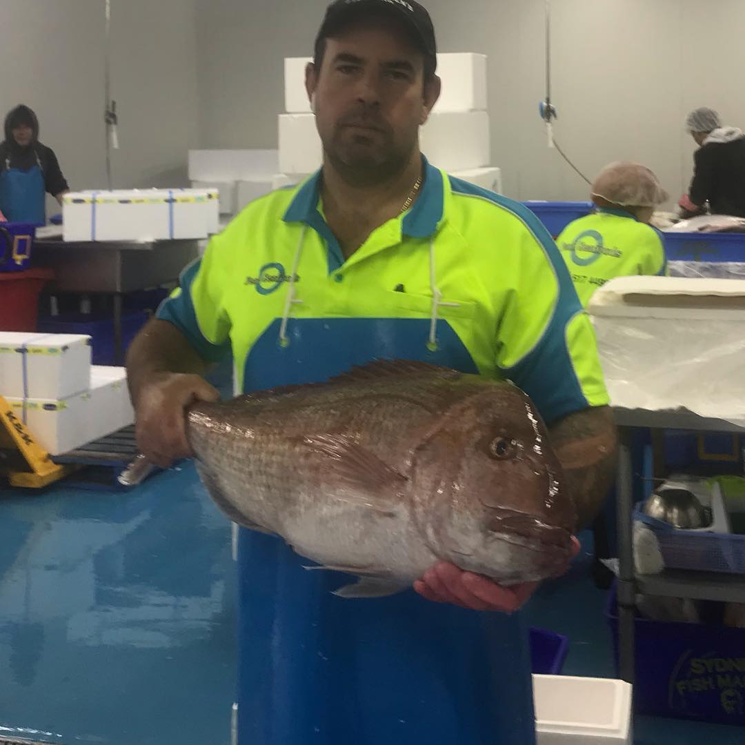 Man holding a large fish in a processing plant setting