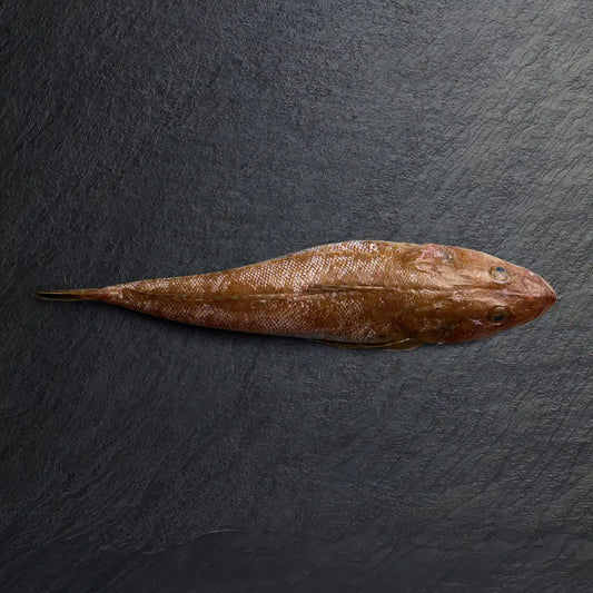 Fresh Whole Flathead