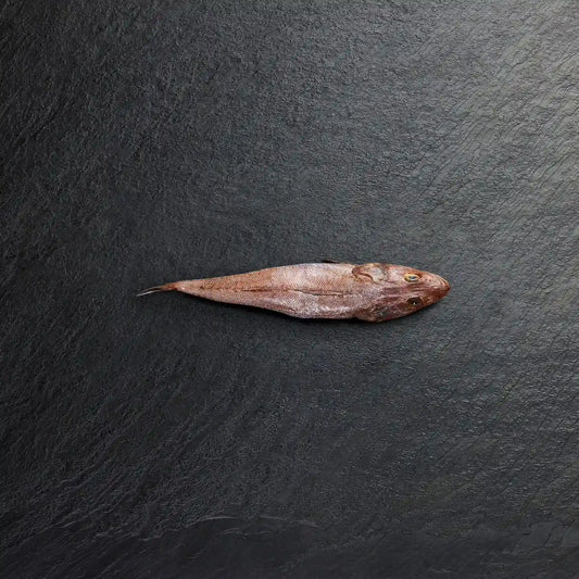냉장 납작한 통째로
