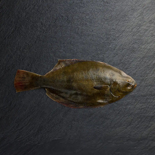 Fresh Whole Flounder