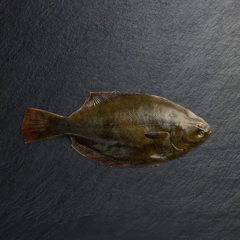 Fresh Whole Flounder - Pearl Seafoods