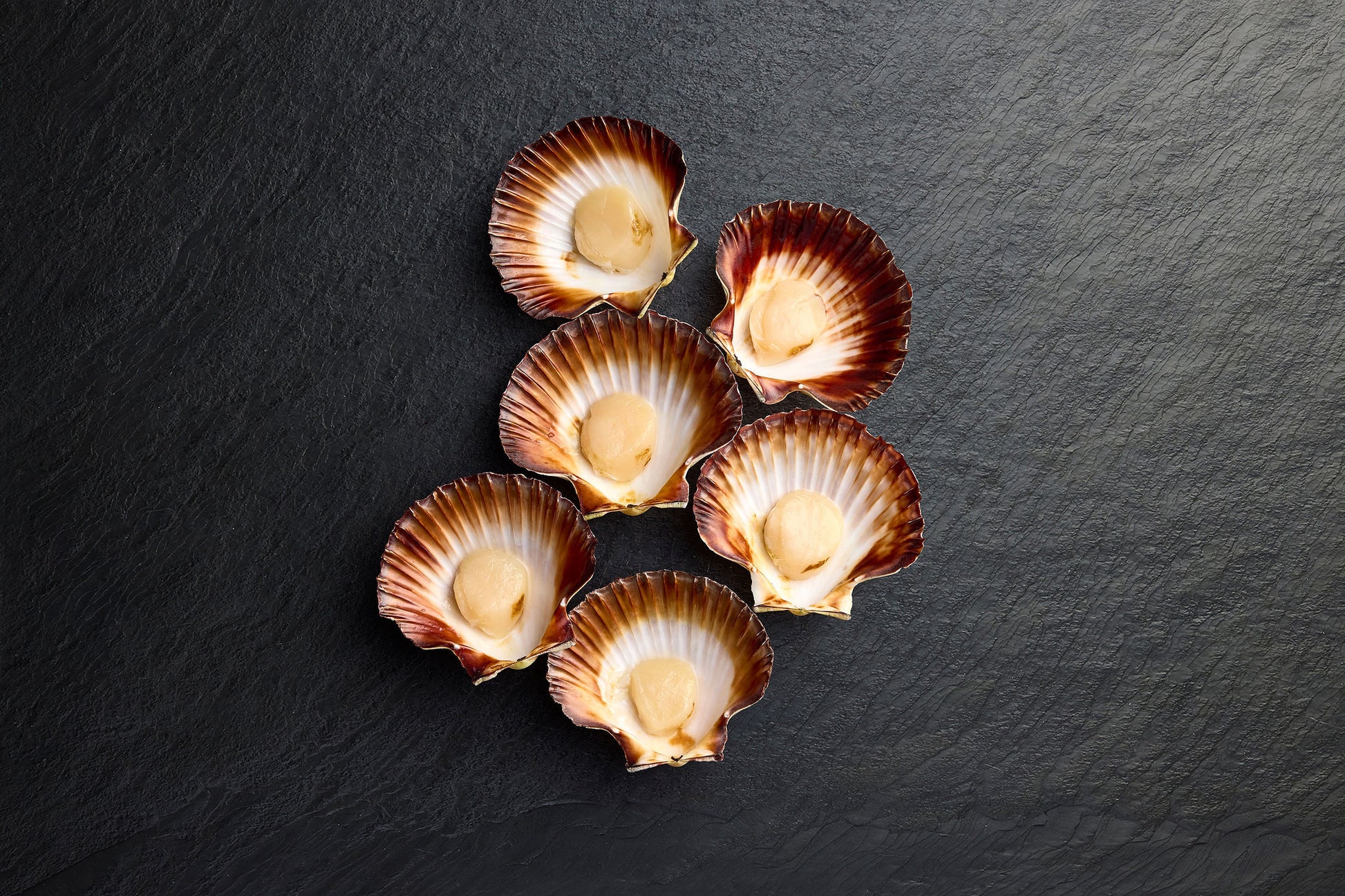  Chilled Half Shell Scallops