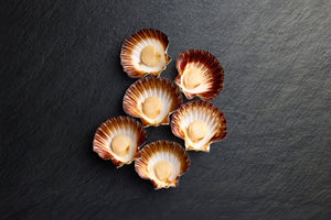 Chilled Half Shell Scallops