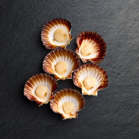 Fresh Half Shell Scallops - Pearl Seafoods