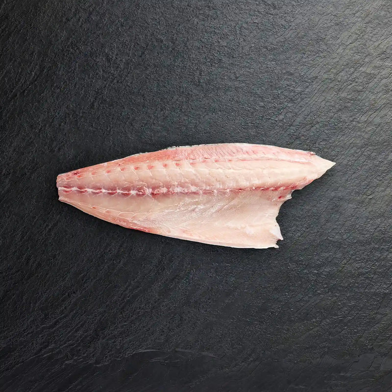 Fresh Hiramasa Kingfish Fillet - Pearl Seafoods